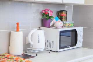 Апартаменты Near Akropolis Вильнюс Апартаменты с балконом-25